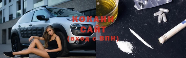 прущие грибы Богданович