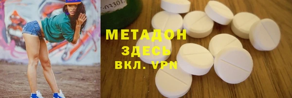 прущие грибы Богданович