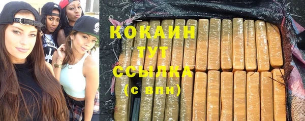 прущие грибы Богданович