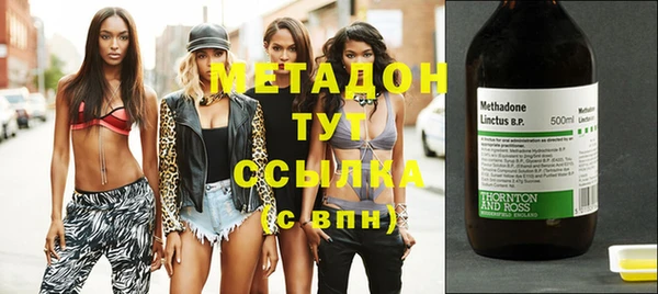 прущие грибы Богданович