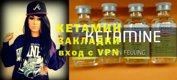 прущие грибы Богданович