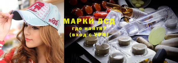 прущие грибы Богданович