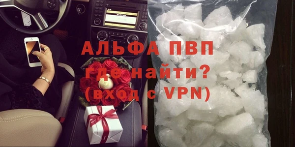 прущие грибы Богданович
