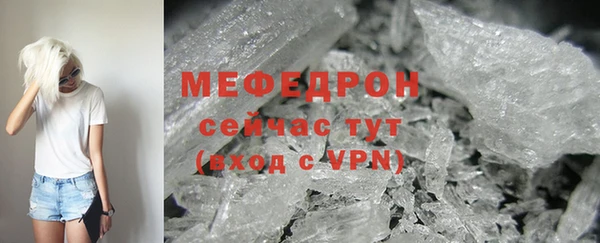 прущие грибы Богданович