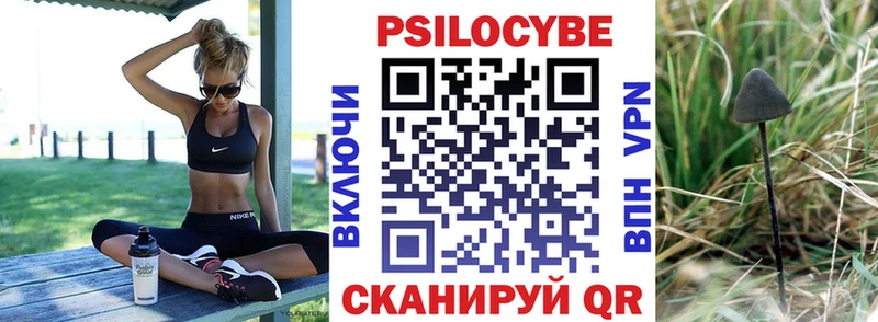 Галлюциногенные грибы Cubensis  где продают наркотики  Кола 